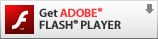 Flash　Playerのダウンロード