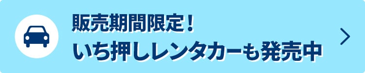 販売期間限定！いち押しレンタカーも販売中