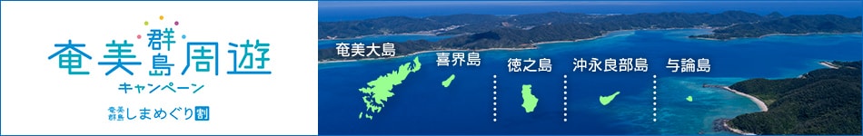 奄美群島しまめぐり割