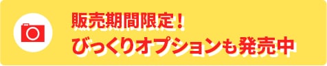 販売期間限定！びっくりオプションも発売中