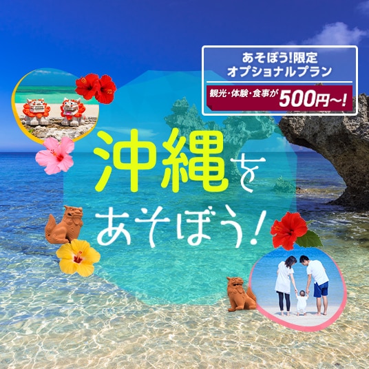 あそぼう！限定オプショナルプラン　観光・体験・食事が500円～！　沖縄をあそぼう！