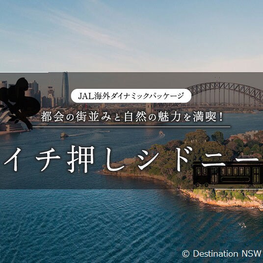 JAL海外ダイナミックパッケージ　都会の街並みと自然の魅力を満喫！　イチ押しシドニー