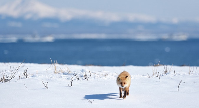 magnificent nature of Hokkaido