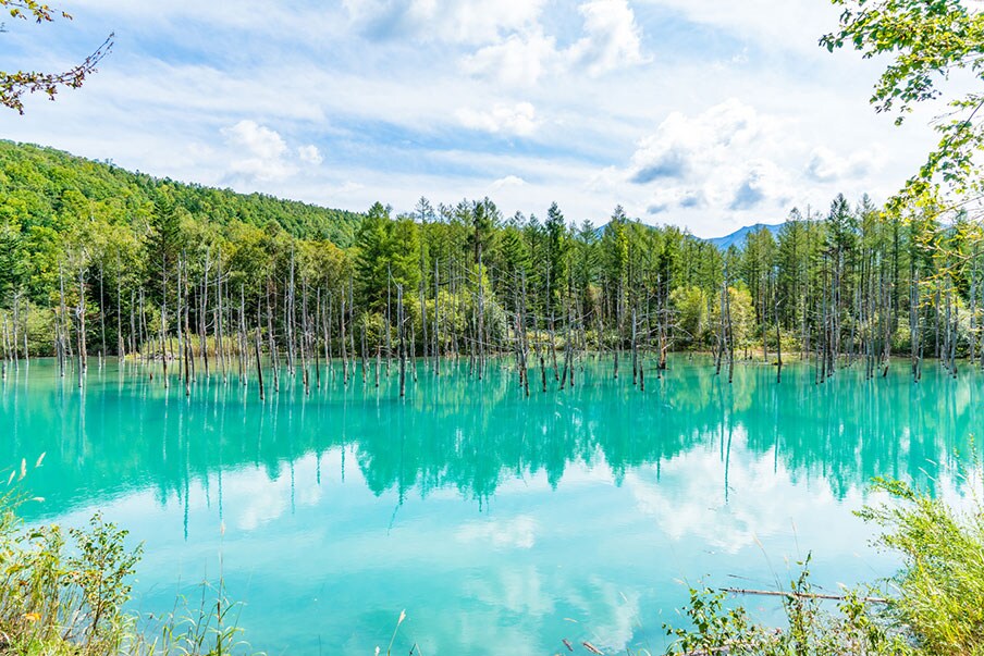 Experience the surreal beauty of nature at Shirogane Blue Pond and Shirogane Falls