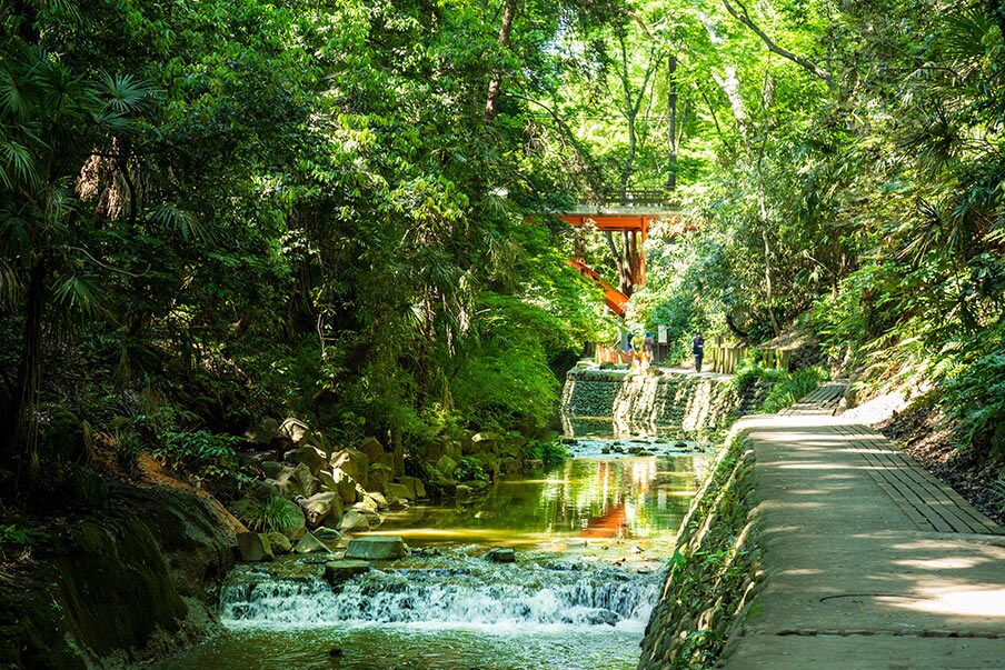 Legen Sie eine Ruhepause im Todoroki-Tal ein