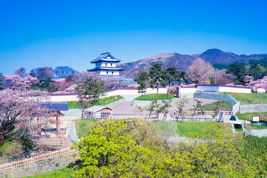 Cherry Blossom in Matsumae, Hokkaido, Japan
