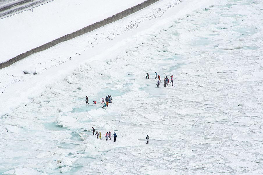 Roam the drift ice
