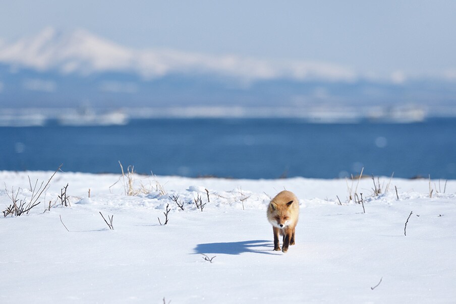 Discover adventure in Hokkaido