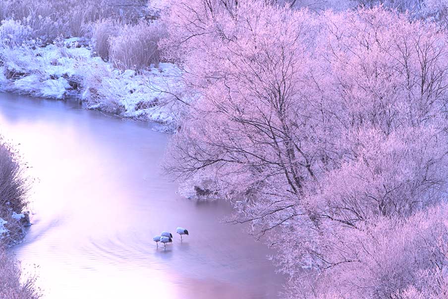 A local's guide to life in the untouched nature of Hokkaido Japan