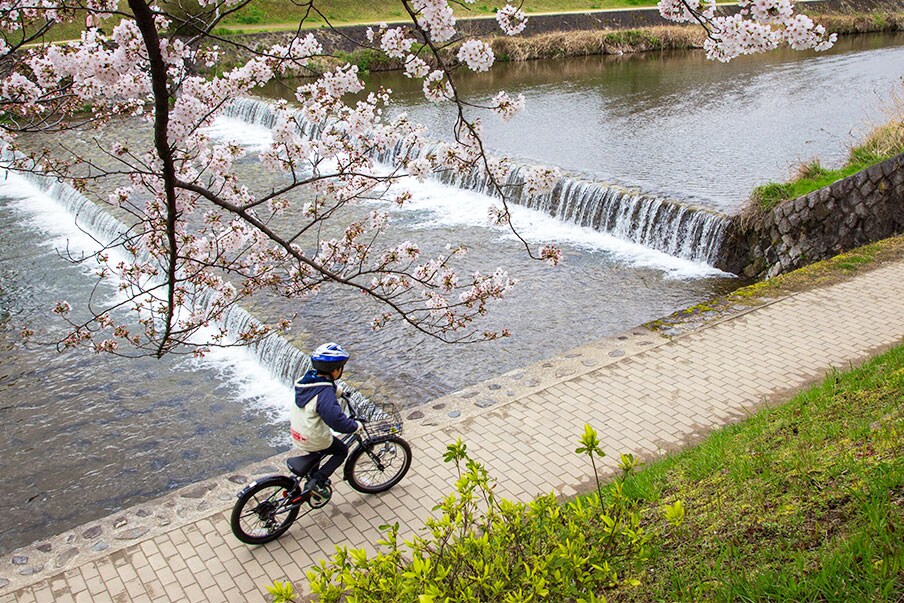 Explore the wonders of Kyoto