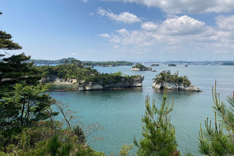 A Journey Walking Along the Coast of the Sendai Plain in the Southern Region