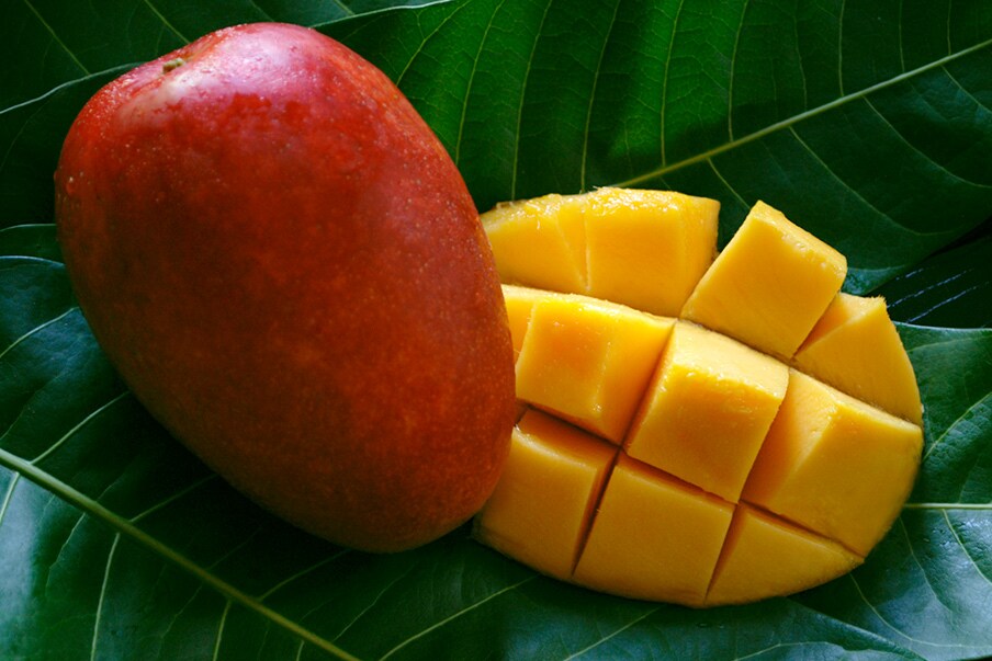 high-quality mangoes