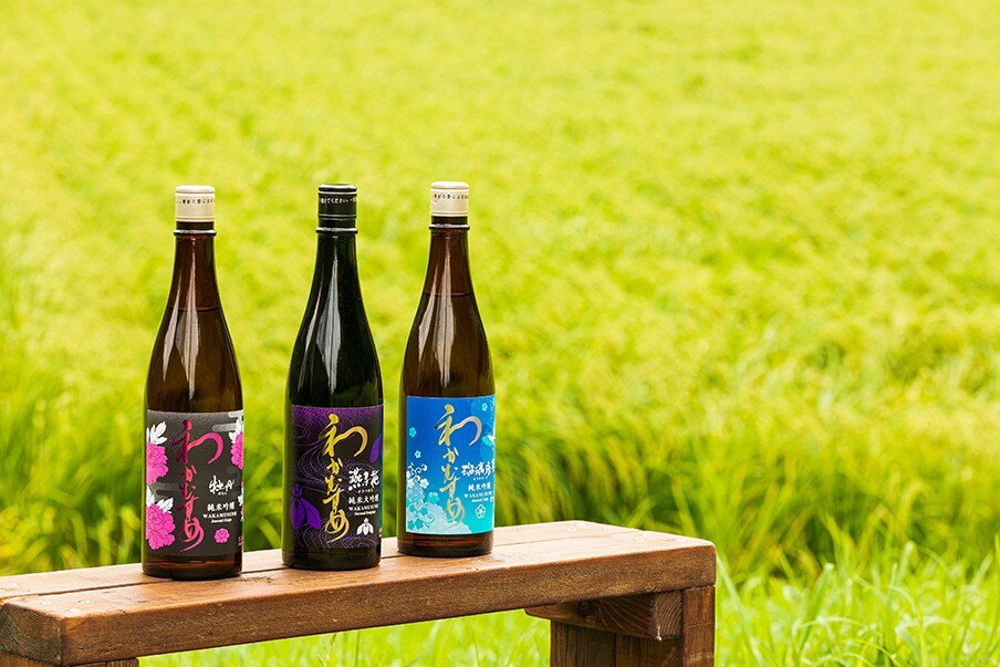 Shintani Shuzo – A family-run brewery with award-winning sake