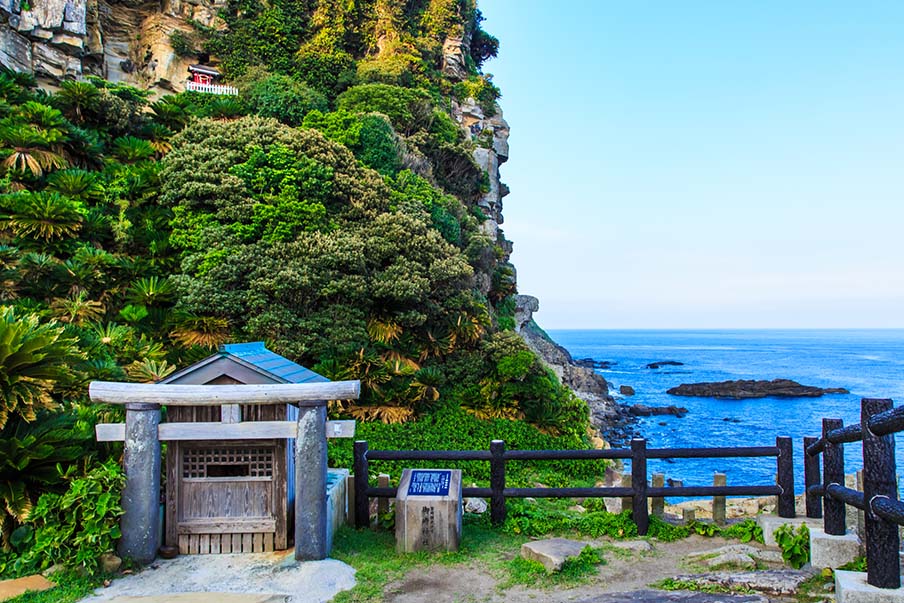 Catch the sunrise in Misaki Shrine
