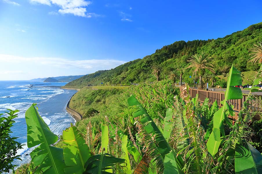 Journey through Southern Coast 