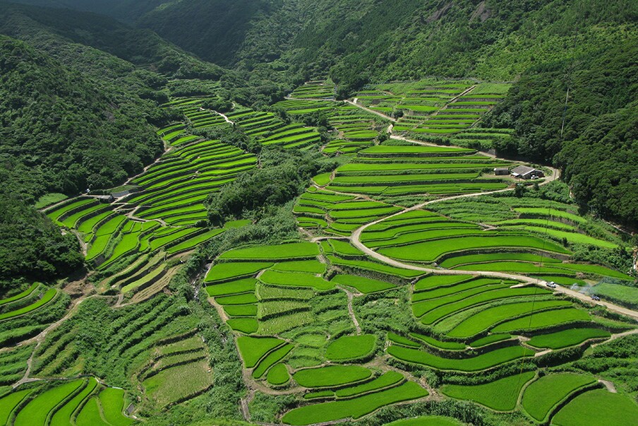 Kasuga no Tanada