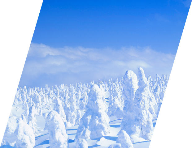 Jalで行く 年末年始 冬休み特集 Jal国内ツアー