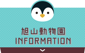 旭山動物園INFORMATION