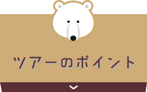 ツアーのポイント