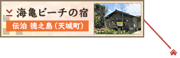 海亀ビーチの宿