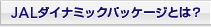 JALダイナミックパッケージとは？