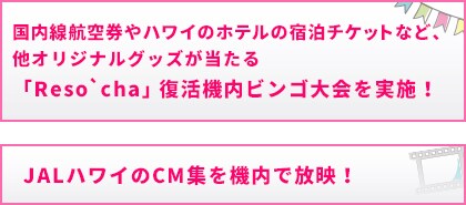 Jalのハワイがギュッとつまった ハワイ気分周遊チャーター