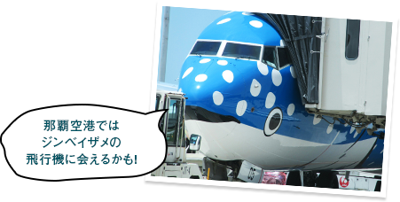 跳び飛びの旅 小型プロペラ機でホッピング 九州旅行 ツアー Jal国内ツアー