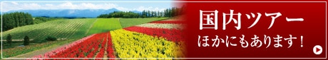 国内ツアー