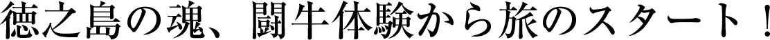 徳之島の魂、闘牛体験から旅のスタート!