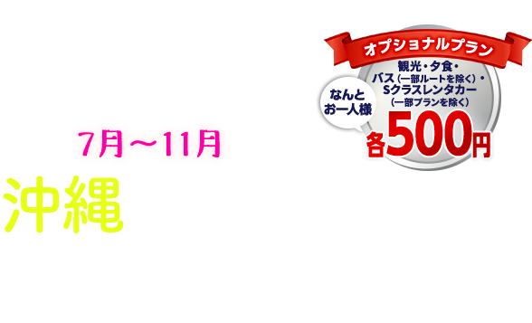 沖縄をあそぼう 沖縄 離島旅行 おすすめツアー Jal国内ツアー 沖縄をあそぼう 沖縄 離島旅行 おすすめツアー Jal国内ツアー