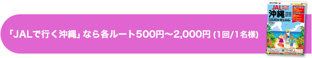 Jal国内ツアー Jalパックオリジナルバス Jalうたばす のご案内 国内ツアー 旅行ならjalパック