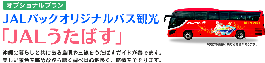 Jal国内ツアー Jalパックオリジナルバス Jalうたばす のご案内 国内ツアー 旅行ならjalパック Jal国内ツアー Jalパックオリジナルバス Jalうたばす のご案内 国内ツアー 旅行ならjalパック