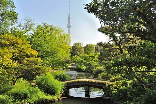 Mukojima Hyakkaen Garden - where flowers bloom all year