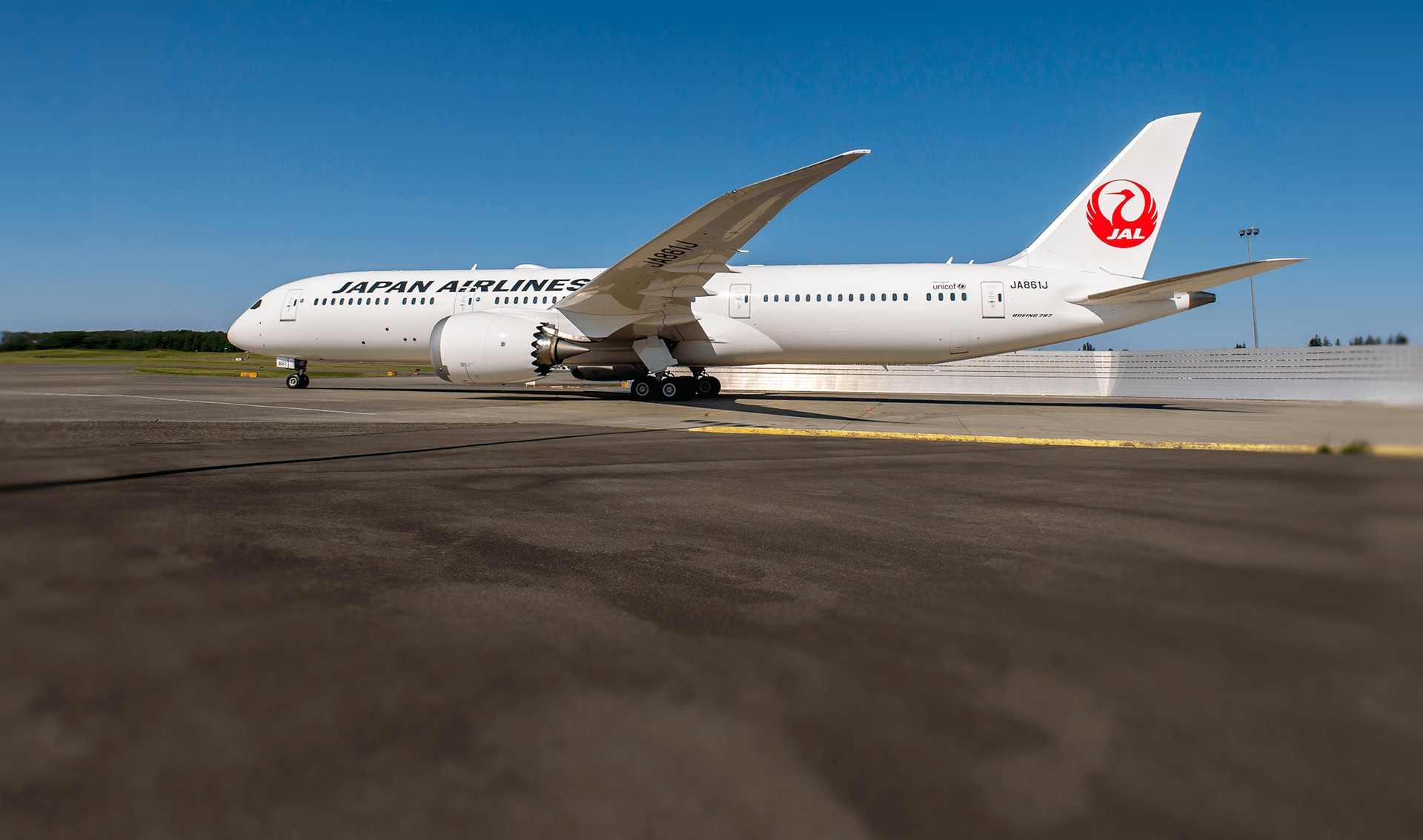 Jal Jal Boeing 787