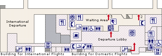 JAL Domestic Flights - Akita Airport (Airport Guide)