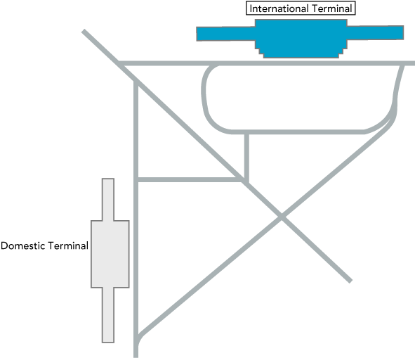 International Flight Terminal is located slightly up on the left from Domestic Flight Terminal.