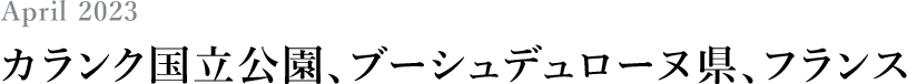 April 2023 カランク国立公園、ブーシュデュローヌ県、フランス