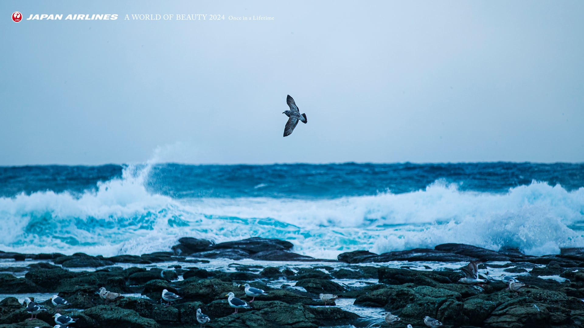 A World Of Beauty Jalカレンダー21 壁紙 Jal