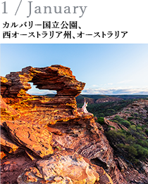 1 / January カルバリー国立公園、西オーストラリア州、オーストラリア