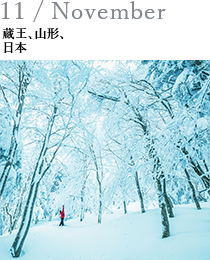 11 / November 蔵王、山形、日本