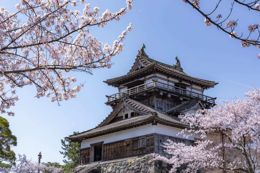 A glimpse into Fukui's historic splendor at Maruoka Castle
