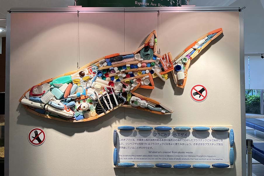 Discover underwater wonders at Okinawa Churaumi Aquarium