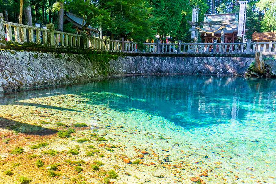 Beppu Benten Pond – Experience turquoise spring water