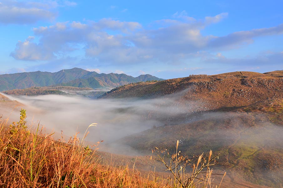 Day 1: Explore the Akiyoshidai Plateau, delve into Akiyoshido Cave, and stay overnight in Yuda Onsen