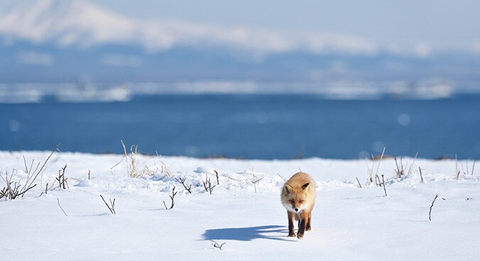 magnificent nature of Hokkaido
