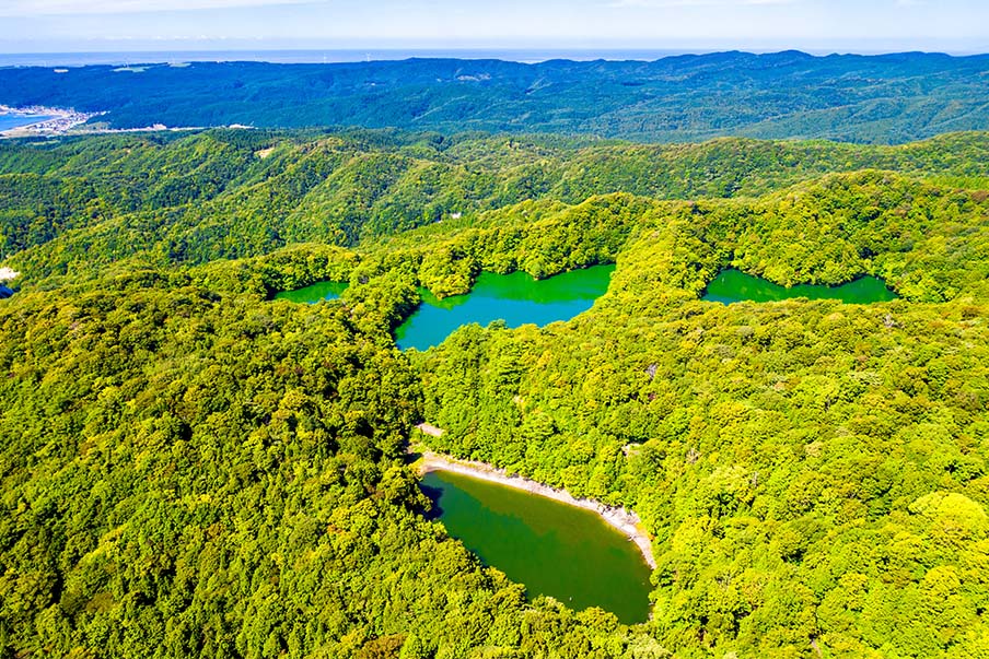 La provincia de Aomori ofrece actividades recreativas todo el año