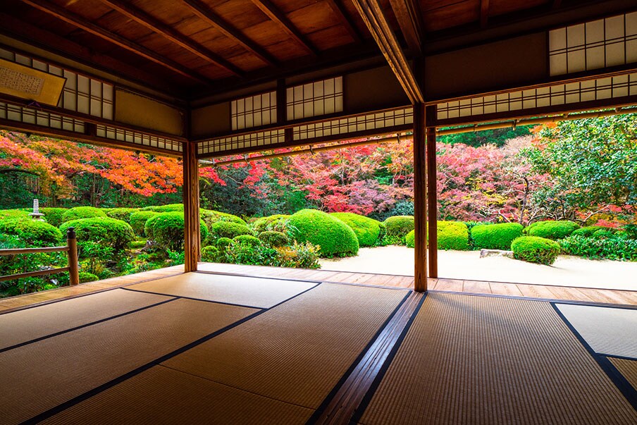 Exquisitos jardines en Shisen-do