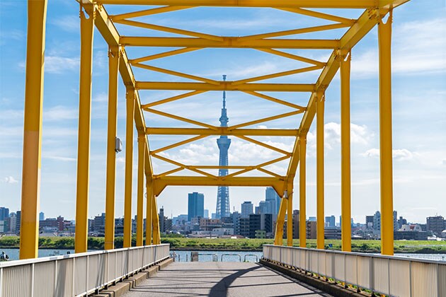 Los mejores museos en los populares distritos artísticos de Tokio