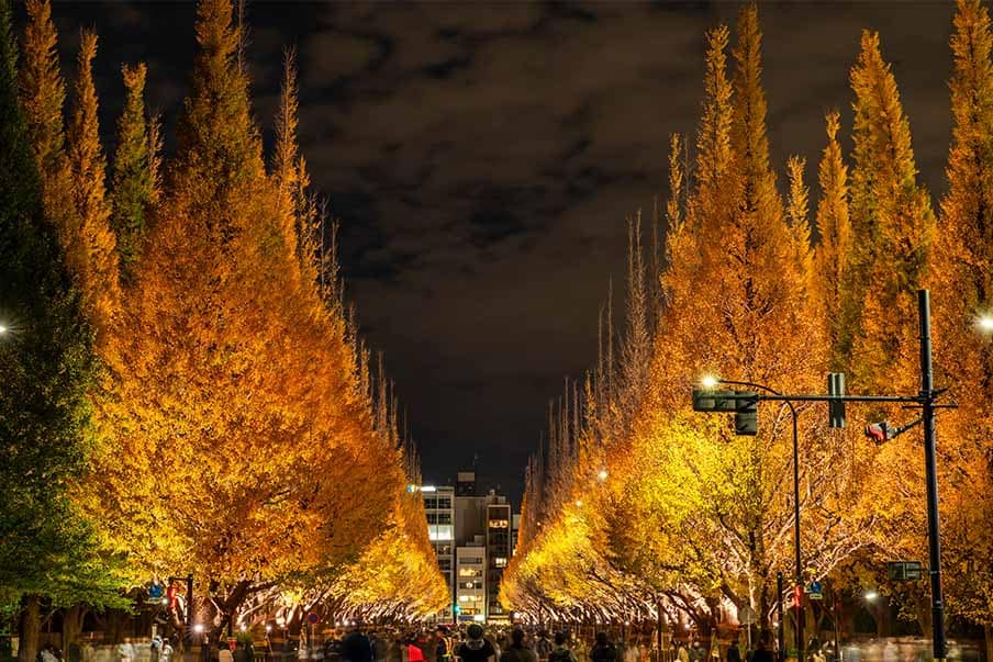 Meiji-Jingu Gaien Park – Experience the official tree of Tokyo
