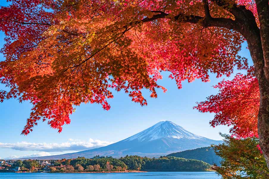 Fuji Five Lakes – See the summit from every angle